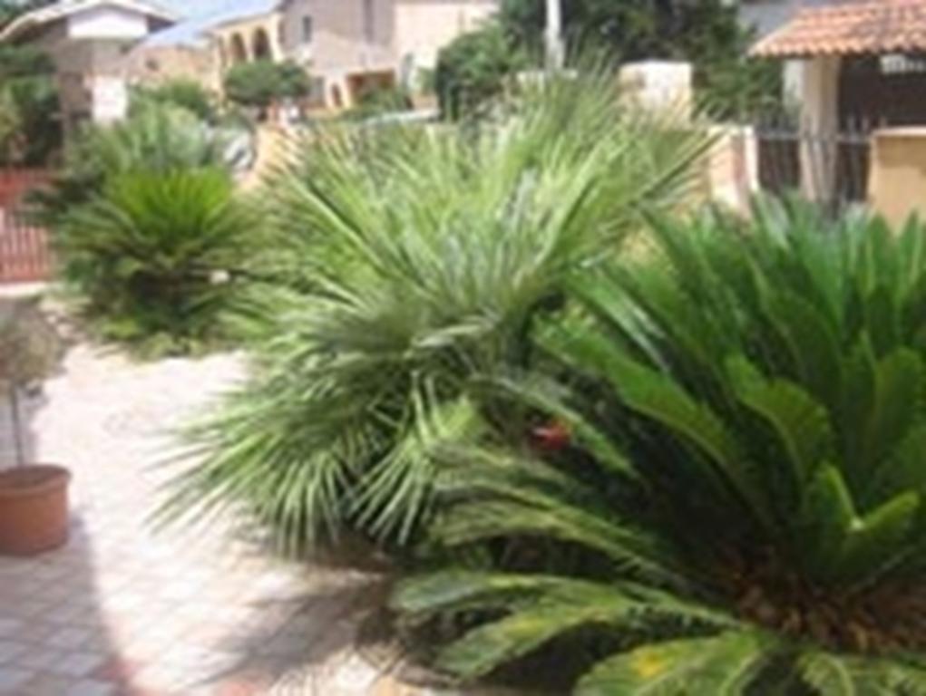 B&B Villa Olimpo Le Torri Agrigento Exterior foto